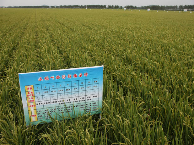 點(diǎn)擊瀏覽下一頁