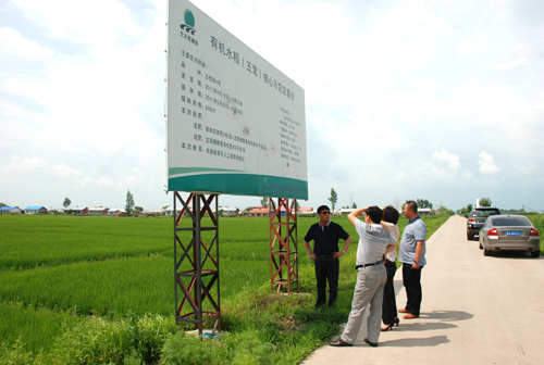 點(diǎn)擊瀏覽下一頁