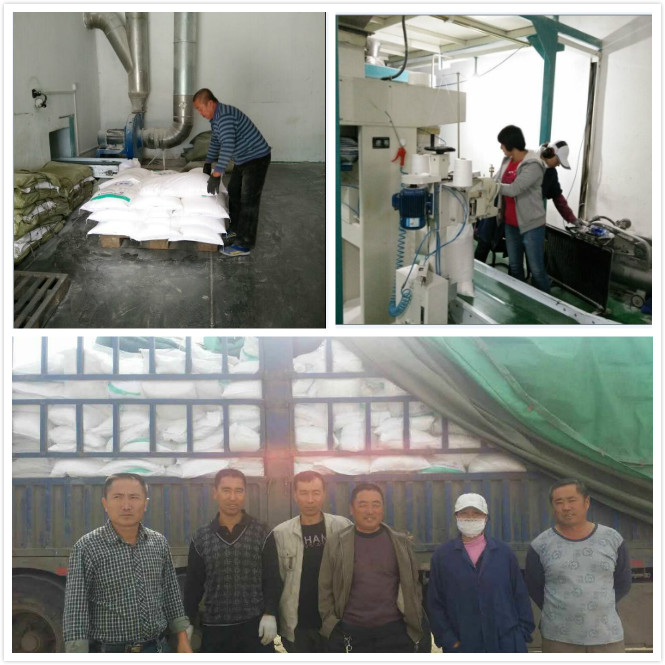 點(diǎn)擊瀏覽下一頁