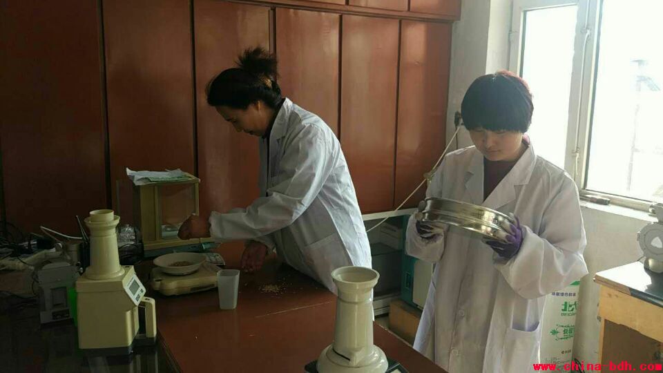 點擊瀏覽下一頁